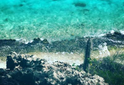 Boek retourtickets naar Bonaire vanaf €549!
