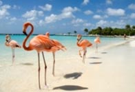 Mag je weer vliegen naar Bonaire?
