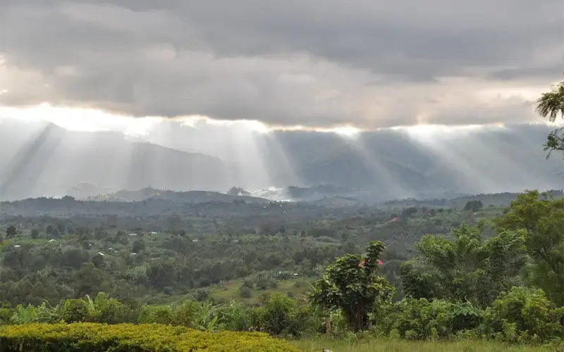 Goedkope vliegtickets naar Congo Brazzaville