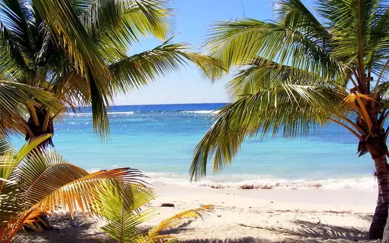 Goedkope vliegtickets naar Dominica