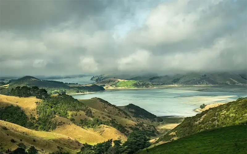 Goedkope vliegtickets naar Dunedin