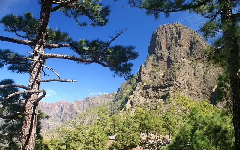 Goedkope vliegtickets naar La Palma
