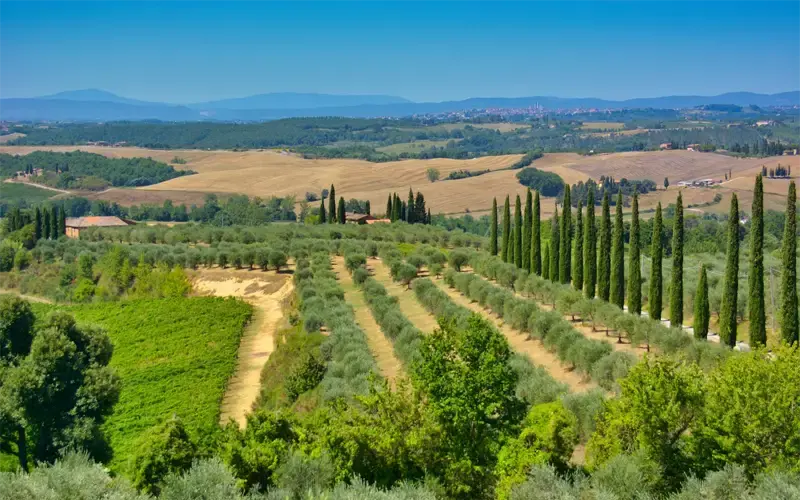 Goedkope vliegtickets naar Toscane