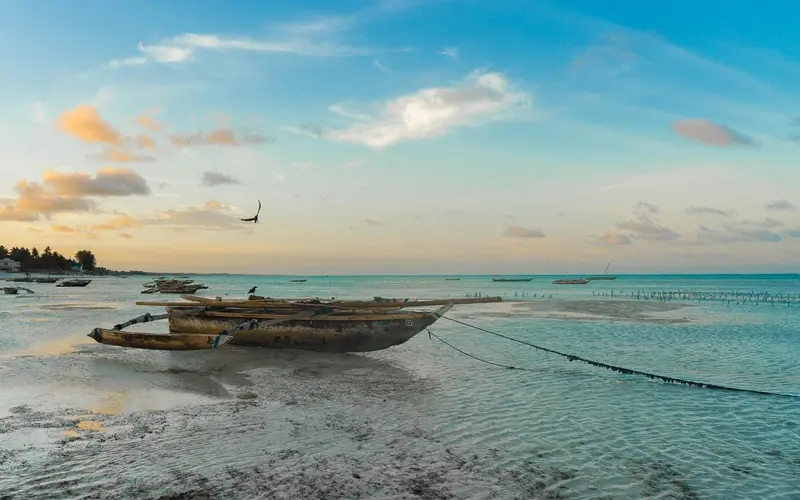 Goedkope vliegtickets naar Zanzibar